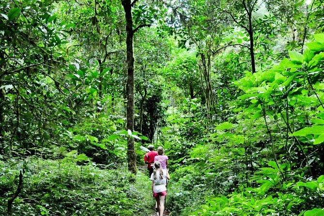 Jungle Trekking and Tamblingan Lake Canoeing in Bali Rainforest - Price and Value: Why $70 Can Feel Fair or Not