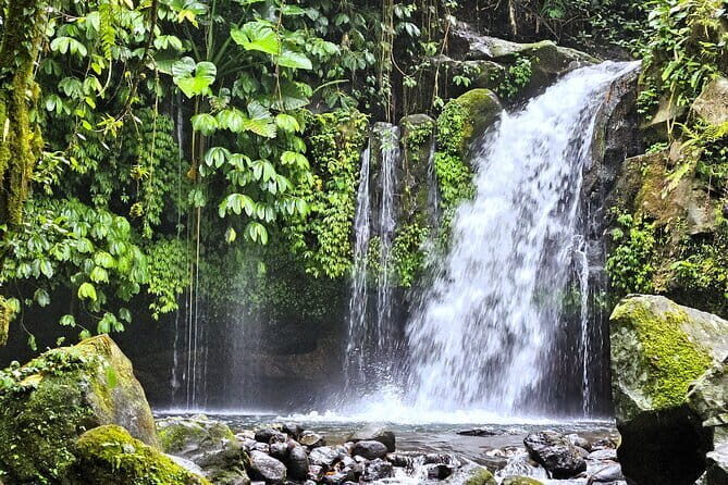 Jungle Trekking at Mt. Batukaru, scenic Waterfall & village life - Key Highlights You’ll Actually Feel