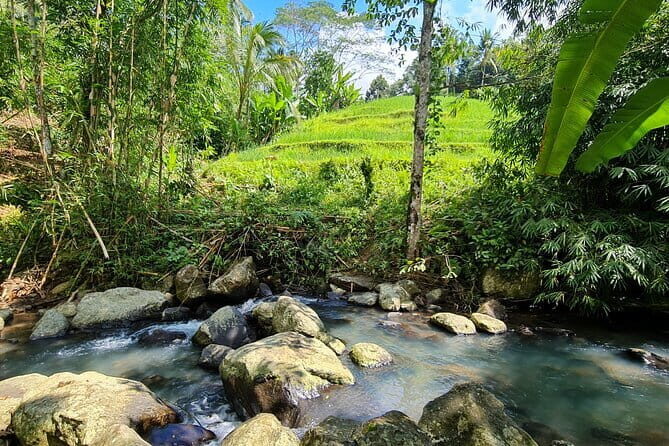Jungle Trekking at Mt. Batukaru, scenic Waterfall & village life - Why Mt. Batukaru Feels Different Than the Usual Bali Day