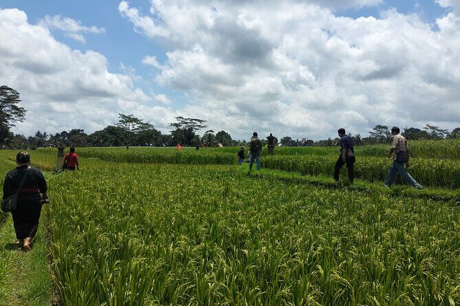 Keliki Village Tour And Rice Field Walk Including Lunch Or Dinner - Key moments you’ll remember