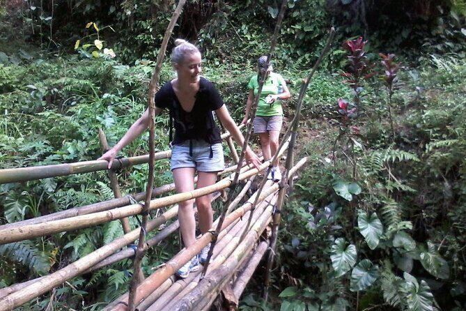 Keliki Village Tour And Rice Field Walk Including Lunch Or Dinner - Stop in Keliki: jungle footpaths, rice fields, and the irrigation story