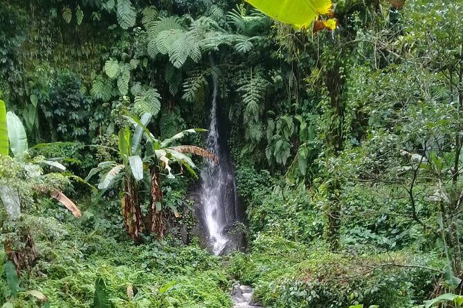 Keliki Village Tour And Rice Field Walk Including Lunch Or Dinner - The half-day pacing: how the 3 to 4 hours typically feel