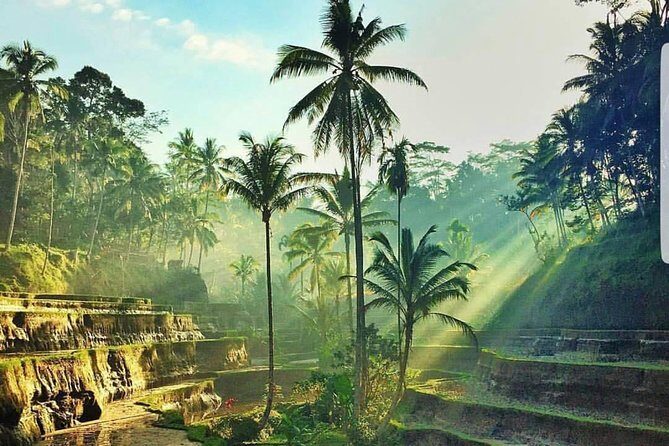Kintamani and Tukad Cepung Waterfall Tour - Price and Value: Why $78 Can Make Sense