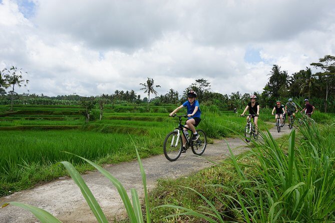 Kintamani Cultural and Nature Cycling Tour ( Manual Bike ) - Key things to know before you ride