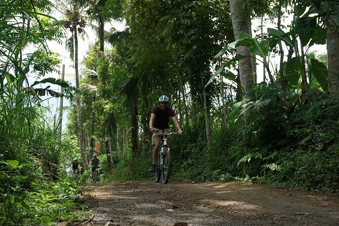 Kintamani Cultural and Nature Cycling Tour ( Manual Bike ) - Downhill Cycling From Ubud to Kintamani’s Rice-Terrace Country