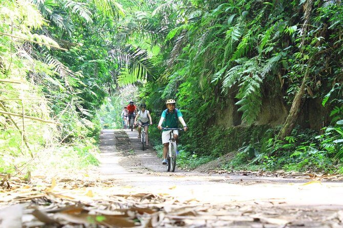Kintamani Cultural and Nature Cycling Tour ( Manual Bike ) - Stop-by-stop: coffee, rice terraces, villages, and temples