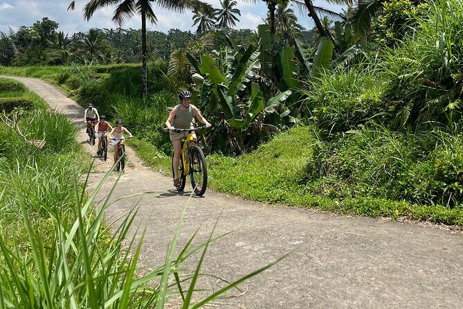 Kintamani Down Hill Cycling - Traditional Balinese compound: philosophy, architecture, and traditions