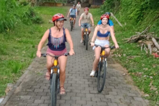 Kintamani Down Hill Cycling - Rice fields toward Ubud: the views that make the hard part feel easy