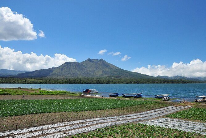 Kintamani Lake & Volcano Tour - Kintamani highlands: the Mount Batur and Lake Batur viewpoint that makes the day