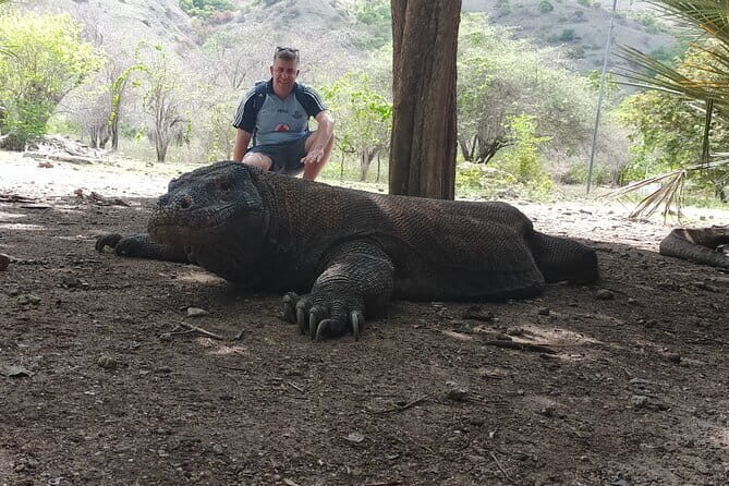 Komodo Island Adventure from Bali (Day Trip) - Stop 1: Komodo Island Trek With a Ranger