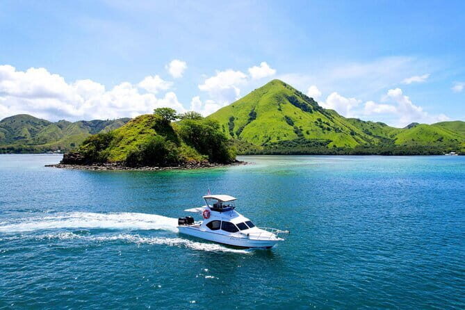 Komodo Island Adventure from Bali (Day Trip) - Price and What $795 Covers (And Why It’s Not Just a “Boat Tour”)