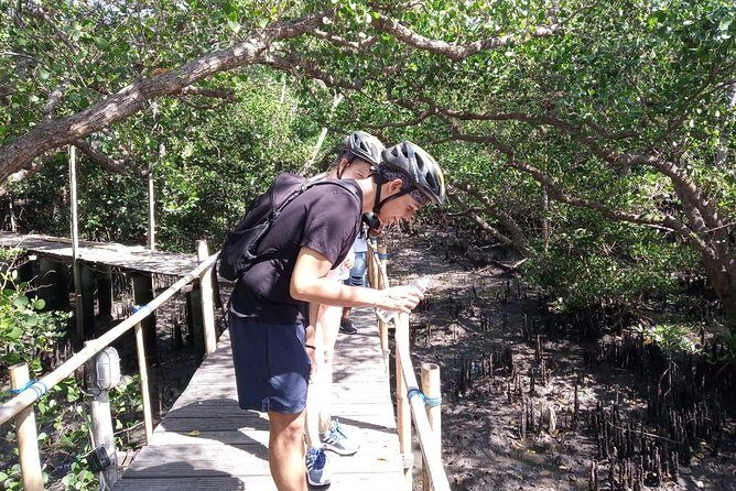 Kuta Beach eBike Private Tour - Price and value: why $116 can feel fair here