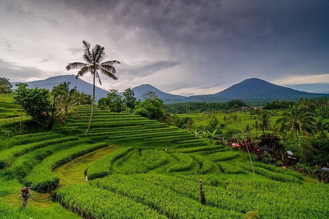 Kuta Half Day Tour - Upside Down World (plus photo-friendly museum energy) for silly, easy memories