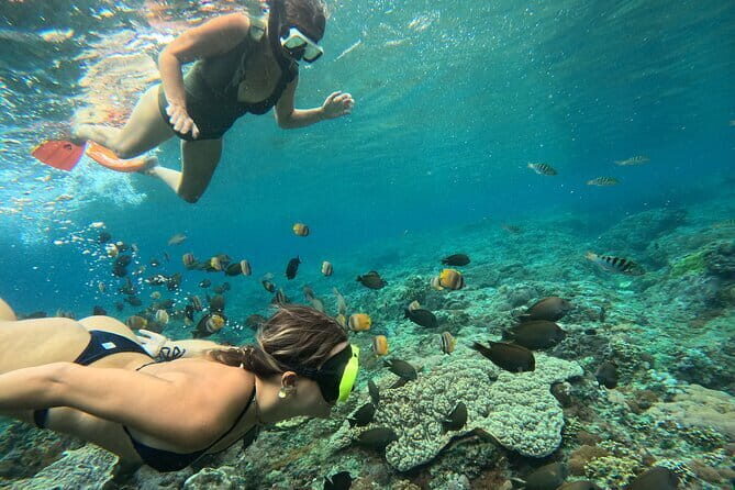 Lembongan Snorkeling at Manta Bay, Crystal Bay and Mangrove - Manta Bay, then Manta Point: your real chance at the big ones