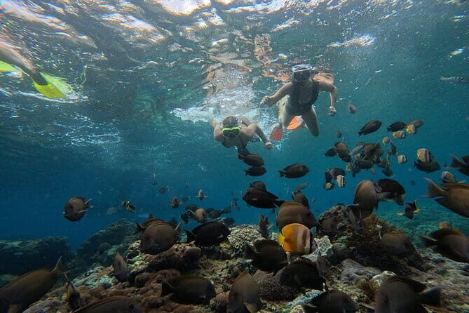 Lembongan Snorkeling at Manta Bay, Crystal Bay and Mangrove - Gear and comforts: what you get (and what to bring)