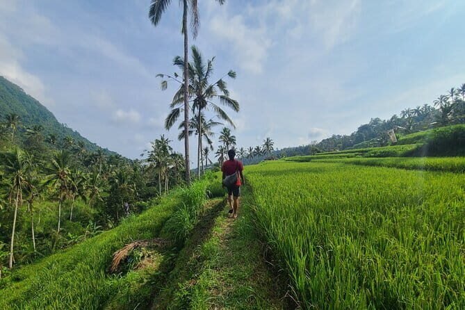 Lemukih Hidden Trekking Waterslide Sekumpul and Fiji Waterfall - Why Lemukih Hidden Trekking in North Bali feels like a real escape