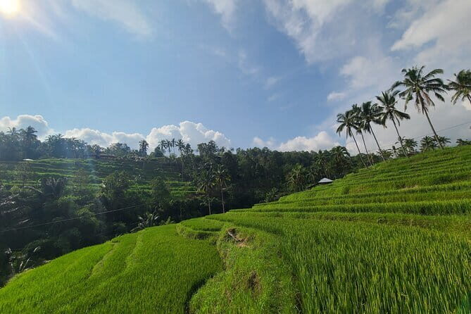 Lemukih Hidden Trekking Waterslide Sekumpul and Fiji Waterfall - Safety gear that actually changes the experience