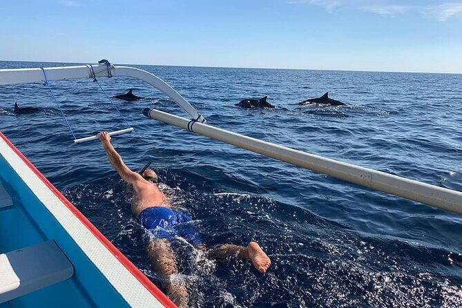 Lovina Dolphin Watching, Swimming, and Snorkeling Experience - Key Things I’d Book This For