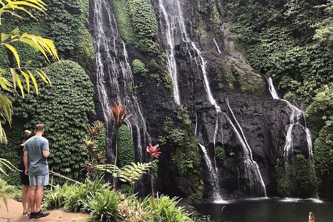 Lovina Sunrise Dolphin & Waterfall Tour - The best fit: who should choose this tour