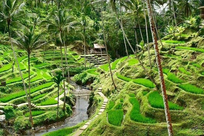 Magic Of Ubud Temple Swing And Waterfall Private Guided Tour - A Bali day that mixes photo stops with real temples