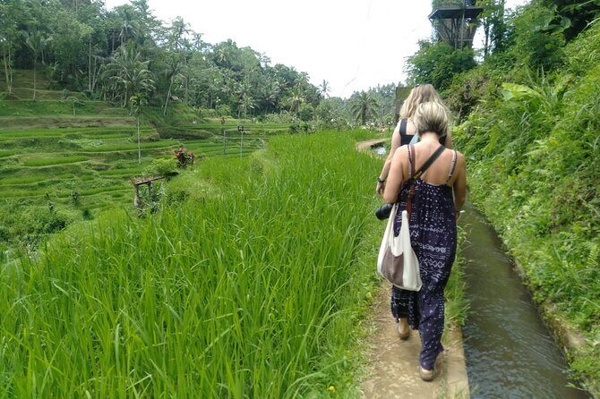 Magic Of Ubud Temple Swing And Waterfall Private Guided Tour - Tegalalang Rice Terrace: viewpoint walking plus a lunch break