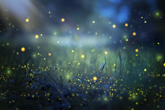 Magical Village Tour & Private Dinner with Fireflies in Bali - Key Highlights Worth Planning For