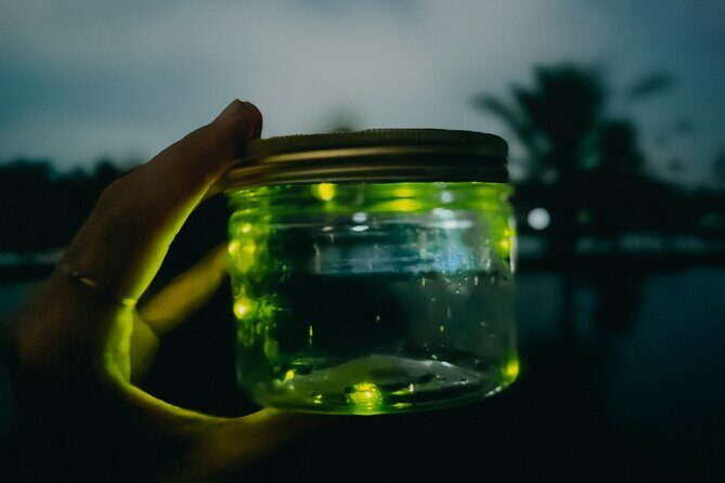 Magical Village Tour & Private Dinner with Fireflies in Bali - Who This Bali Firefly Dinner Tour Fits Best