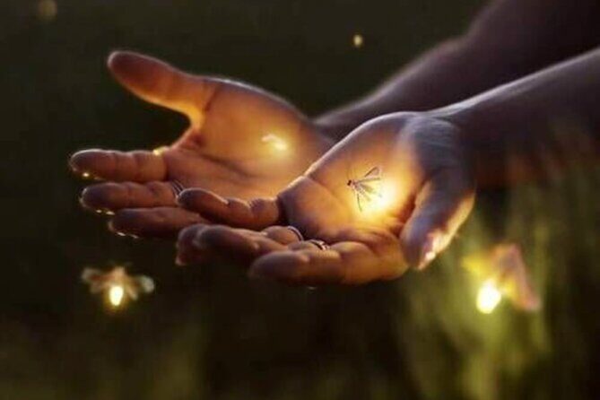 Magical Village Tour & Private Dinner with Fireflies in Bali - The Village Intro: Seeing Traditional Life After the Temple Crowds Leave