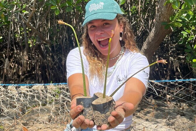 Mangrove Reforestation and Exploration around the Nusa Islands - A 7-Hour Eco Day That Actually Has Purpose