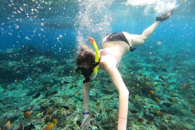 Manta Bay Snorkeling Adventure with Kelingking Beach Nusa Penida All Inclusive - Getting from Jimbaran/Journey through Sanur: early start, shared boats