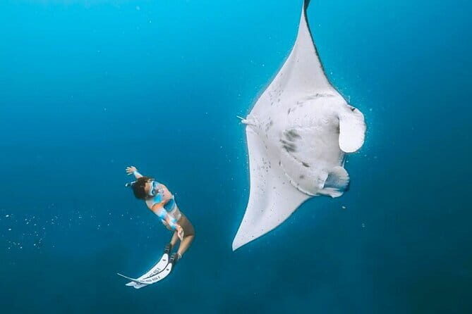 Manta Point Snorkeling & West Nusa Penida Island Day Tour - Key highlights you’ll actually care about
