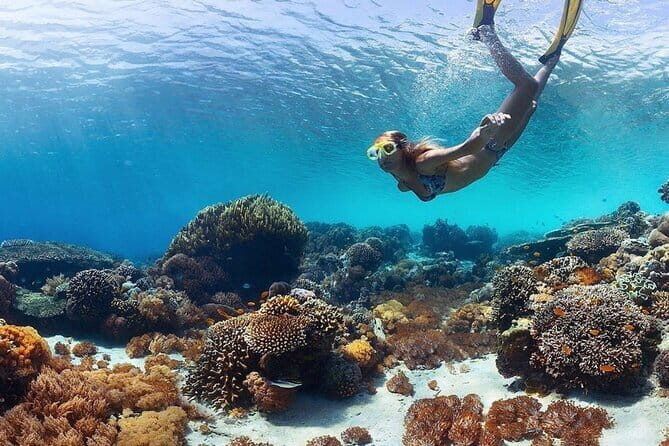 Manta Point Snorkeling & West Nusa Penida Island Day Tour - Manta Point snorkeling: why this day starts with the good stuff