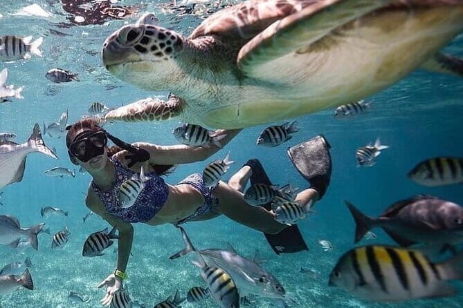 Manta Point Snorkeling & West Nusa Penida Island Day Tour - Broken Beach plus the Billabong area: same drive, different mood