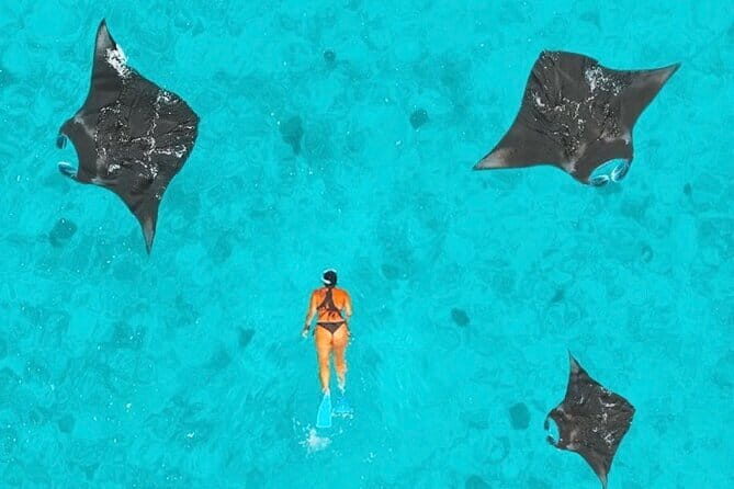 Manta Point Snorkeling & West Nusa Penida Island Day Tour - The boat reality check: motion sickness is the main catch
