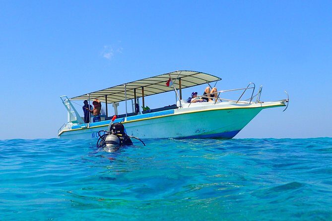 Menjangan island for Certified Scuba Divers full day boat trip, 2 dives + lunch - Menjangan Island in Bali Barat: the coral-wall feel that divers chase