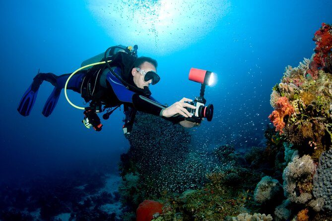 Menjangan island for Certified Scuba Divers full day boat trip, 2 dives + lunch - Gear, certification proof, and the cash park fee that surprises people