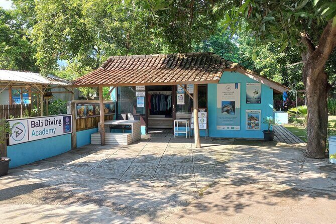 Menjangan island snorkeling full day boat trip - Who should book this trip