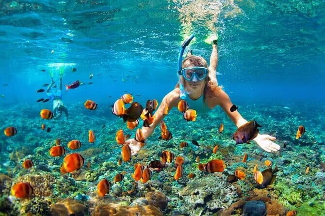 Monkey Bar and snorkling adventure at blue lagoon. - Bella Vista Monkey Bar: Infinity Pool Views Plus Lunch That Actually Sits Well