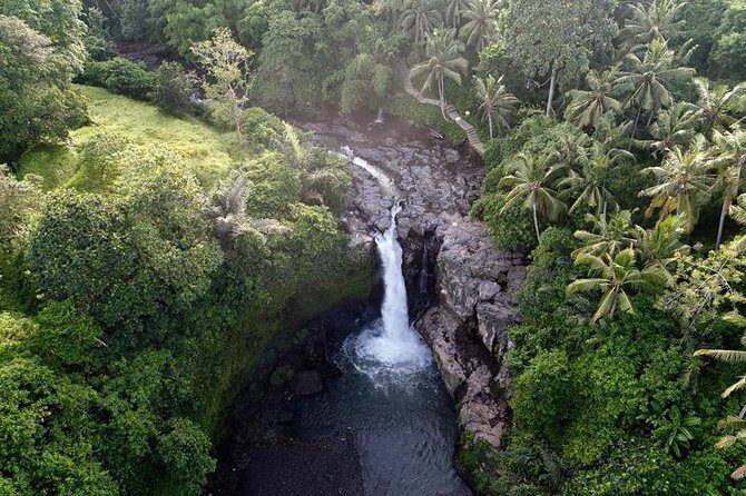 Monkey Forest Ubud Half day Tour - A half-day Ubud combo that actually fits your schedule