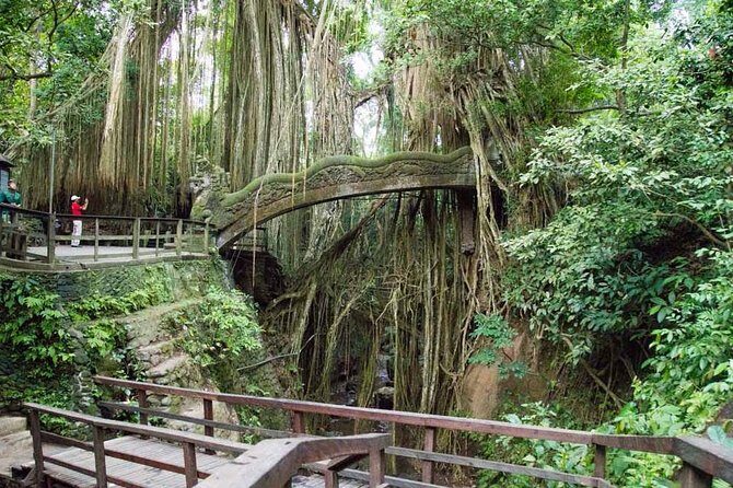 Monkey Forest Ubud Half day Tour - Monkey Forest Ubud: monkeys, shade, and quick chaos