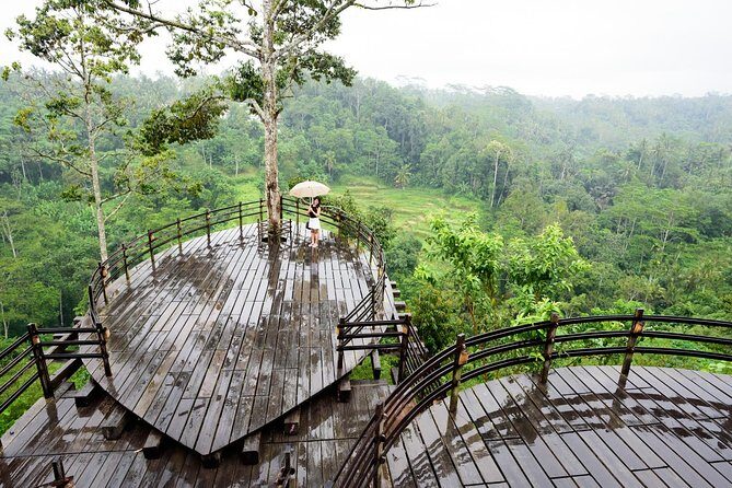 Monkey Forest, Ubud, Waterfall and Rice Terrace - Happy Swing Bali for Big Photos (and a Harness)