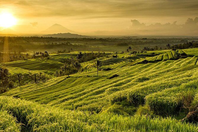 More Complete: Discover Bali In 3 Days Private Tour Package - Should you book this More Complete Bali in 3 Days Private Tour?