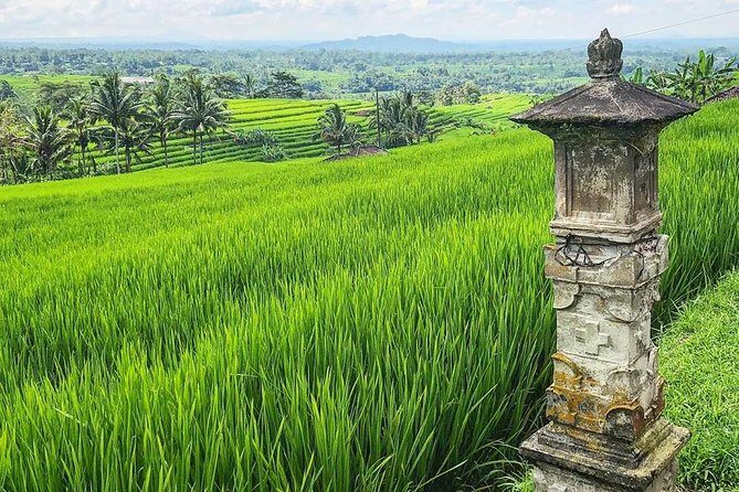 More Complete: Discover Bali In 3 Days Private Tour Package - FAQ