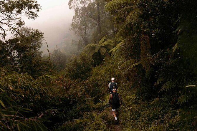 Mount Agung Sunrise Trekking with Local Guide - Price and Value: Why $99 Can Make Sense