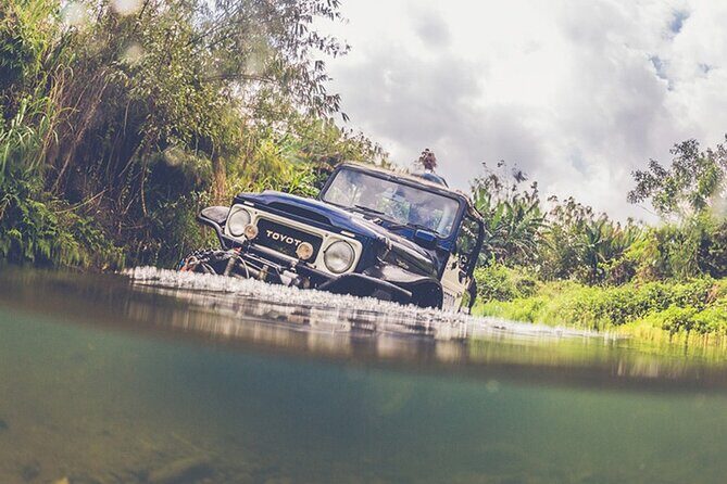 Mount Batur Black Lava Jeep Tour with Pickup - The Most Praised Part: Service That Feels Personal