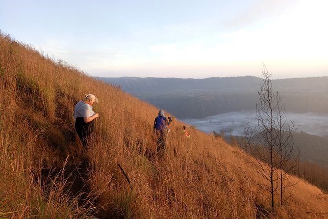 Mount Batur Sunrise Trekking Guide - Coffee Plantation Stop on the Return Drive: More Than a Photo Op