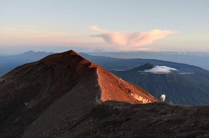 Mount Batur Sunrise Trekking, Hot Springs & Lunch at Restaurant - Buffet Lunch at the Volcano and Lake View Spot