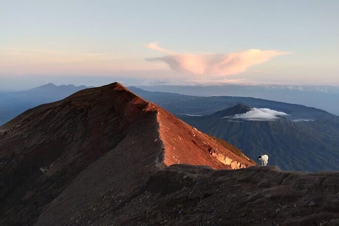 Mount Batur Sunrise Trekking, Hot Springs & Lunch at Restaurant - Quick Booking Checklist Before You Commit