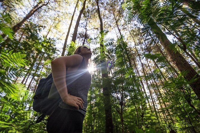 Mount Batur Sunrise Trekking With Breakfas - Optional Coffee Plantation Stop: A Calmer Finish