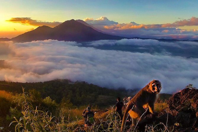 Mount Batur Sunrise Trekking With Breakfas - Price and Value: Is $59.94 Reasonable?